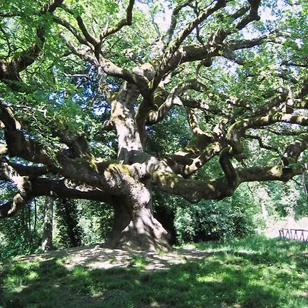 Pensionat Da Beppe Altopascio