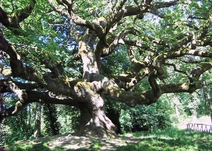 Gasthuis Da Beppe Altopascio